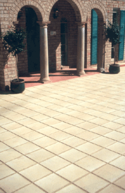 Cleaning the walkway pavers.